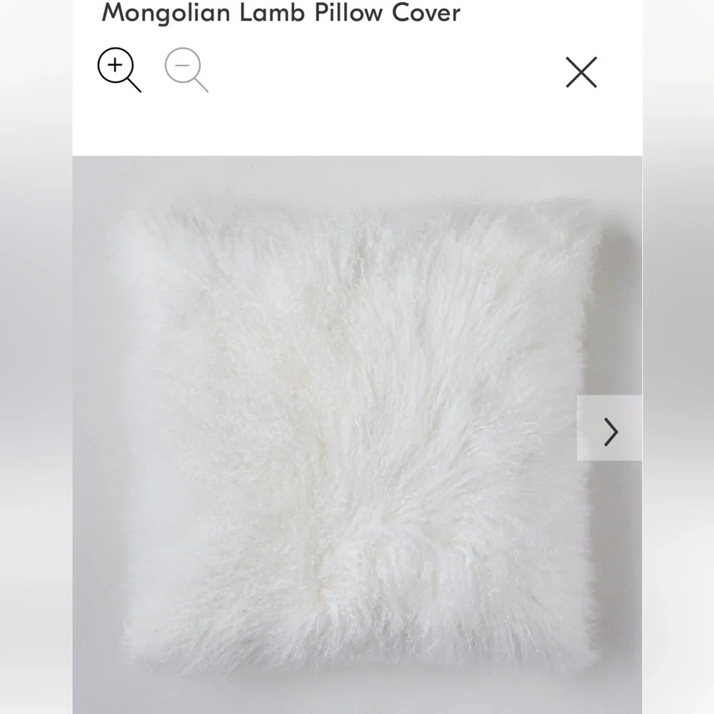 West Elm Mongolian Sheep Pillow Cover (1)